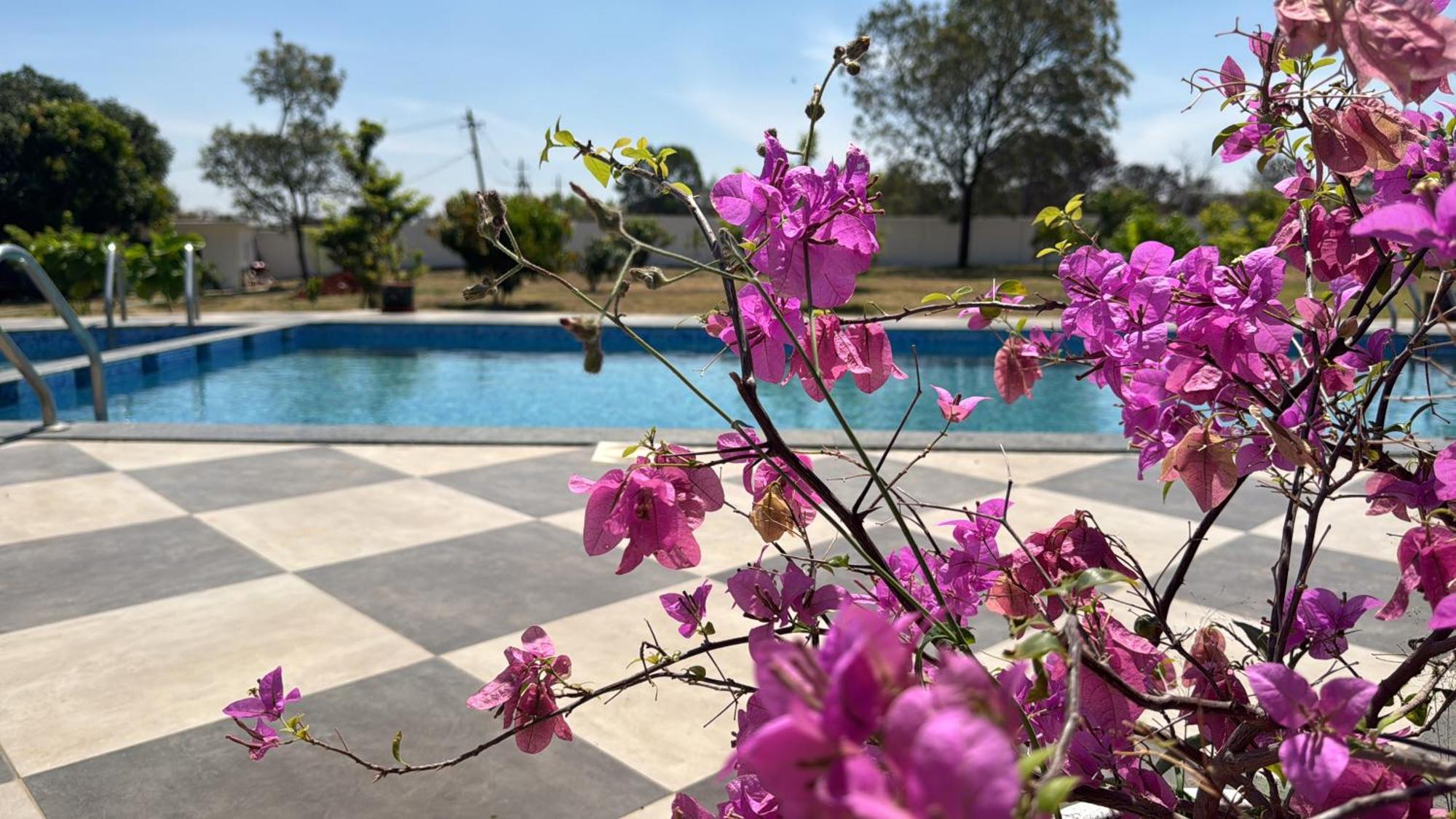 Raj Home Stay مَسّور المظهر الخارجي الصورة